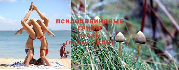 круглые Осташков