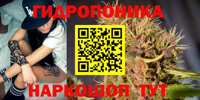 крисы Заводоуковск
