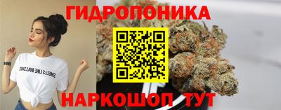 дживик Жуковский