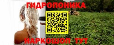 дживик Жуковский
