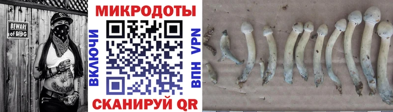 Псилоцибиновые грибы мухоморы  Кирово-Чепецк 