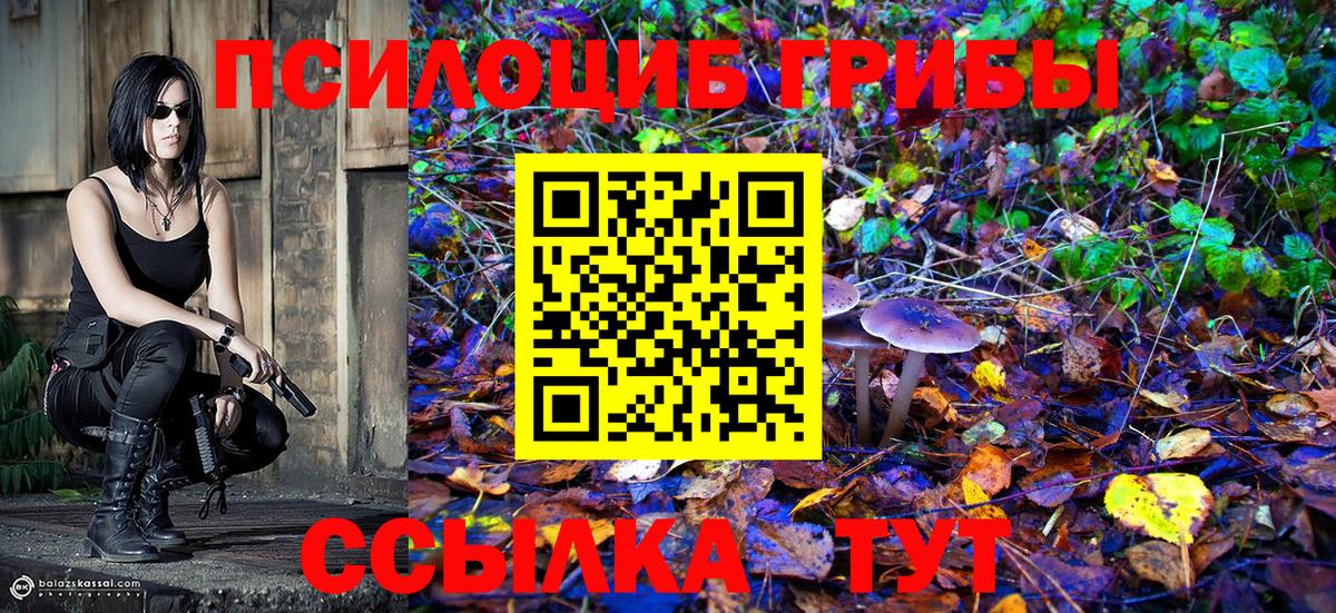 ГАШ Кирово-Чепецк