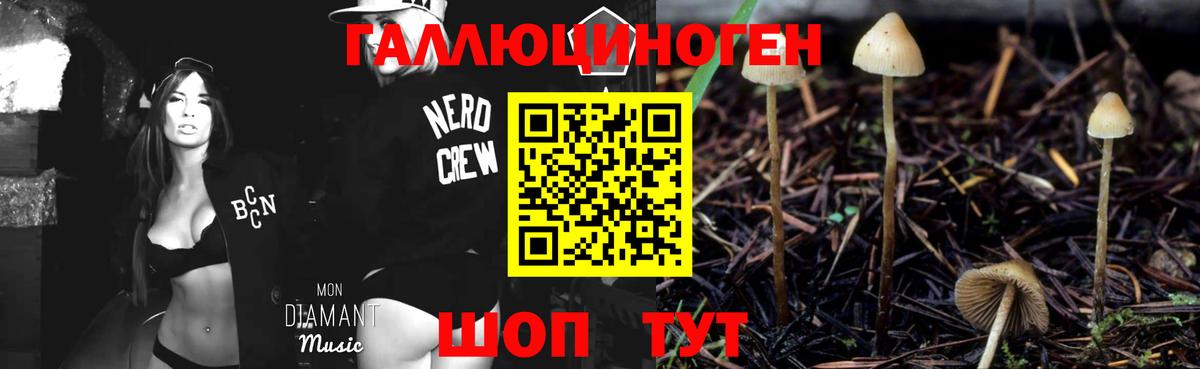 Псилоцибиновые грибы прущие грибы  Вход с VPN  Кирово-Чепецк 